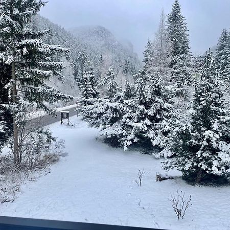 Apartmany Dolina Demänovská Dolina Dış mekan fotoğraf
